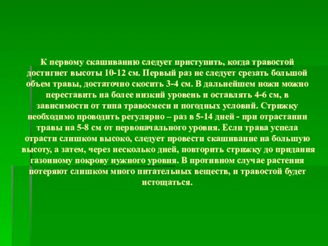 К первому скашиванию следует приступить, когда травостой достигнет высоты 10-12 см. Первый