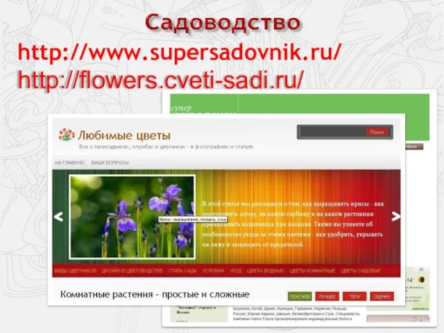 http://www.supersadovnik.ru/ http://flowers.cveti-sadi.ru/