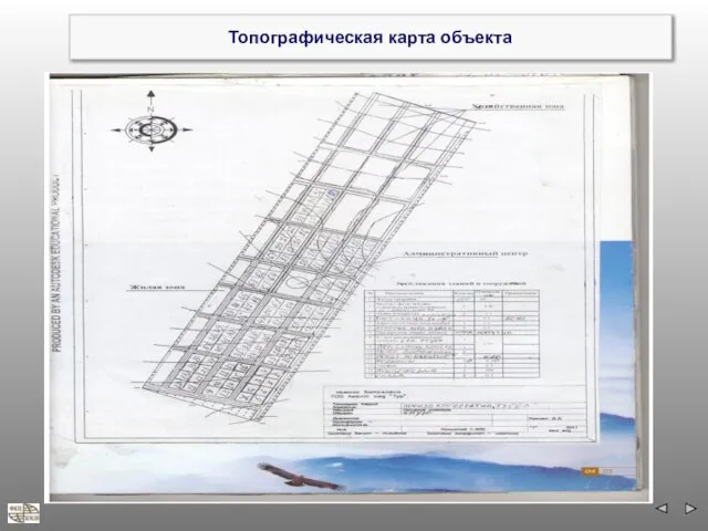 Топографическая карта объекта