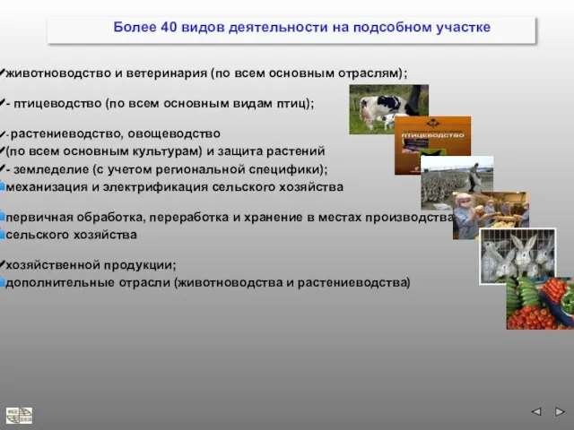 Более 40 видов деятельности на подсобном участке животноводство и ветеринария (по всем