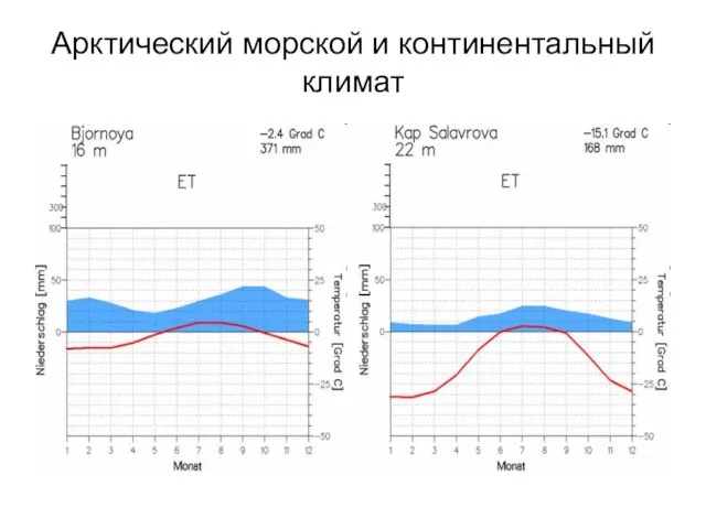 Арктический морской и континентальный климат