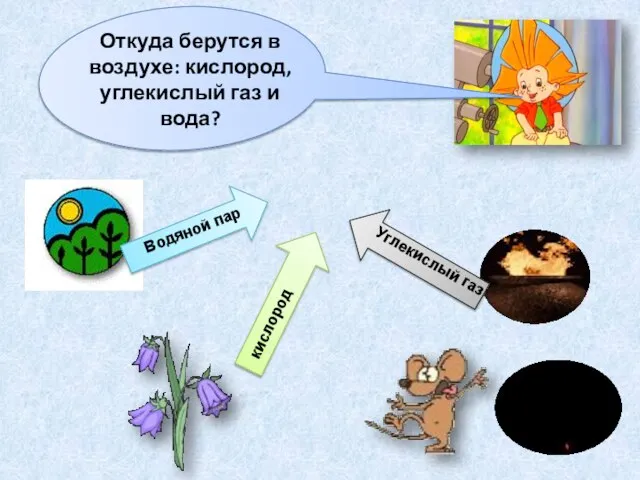 Откуда берутся в воздухе: кислород, углекислый газ и вода? Водяной пар кислород Углекислый газ