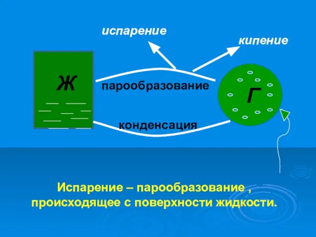 Ж Г парообразование конденсация кипение испарение Испарение – парообразование , происходящее с поверхности жидкости.