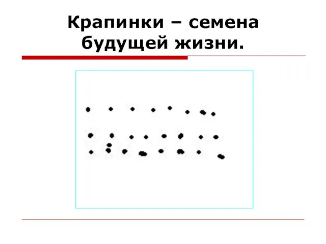 Крапинки – семена будущей жизни.