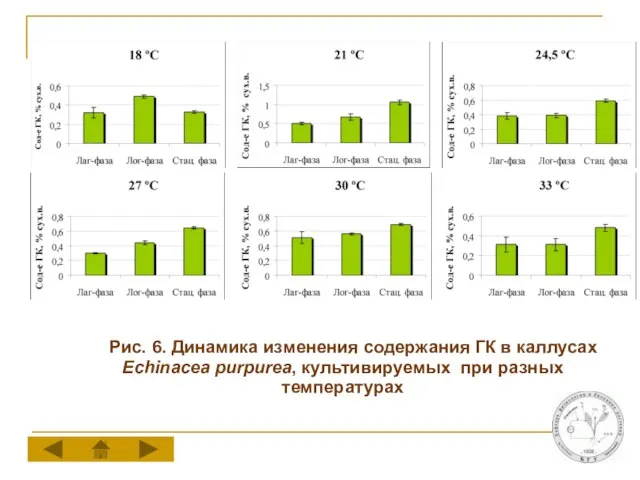 Рис. 6. Динамика изменения содержания ГК в каллусах Echinacea purpurea, культивируемых при разных температурах