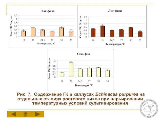 Рис. 7. Содержание ГК в каллусах Echinacea purpurea на отдельных стадиях ростового