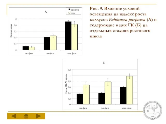 Рис. 9. Влияние условий освещения на индекс роста каллусов Echinacea purpurea (А)