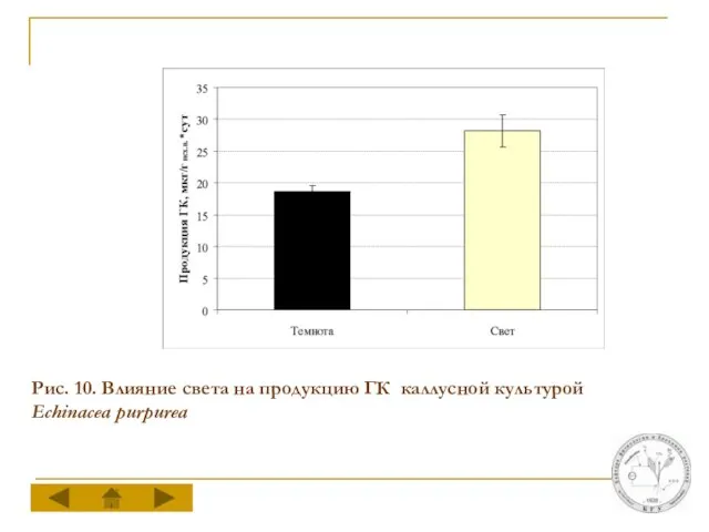 Рис. 10. Влияние света на продукцию ГК каллусной культурой Echinacea purpurea