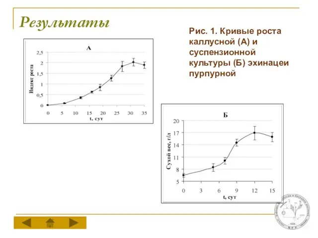 Результаты Рис. 1. Кривые роста каллусной (А) и суспензионной культуры (Б) эхинацеи пурпурной