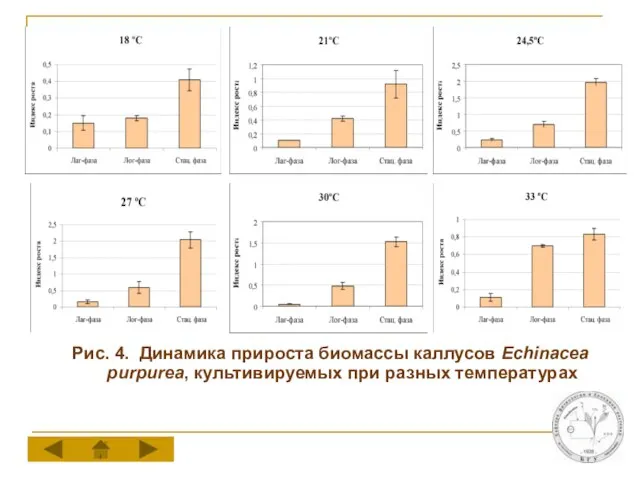 Рис. 4. Динамика прироста биомассы каллусов Echinacea purpurea, культивируемых при разных температурах