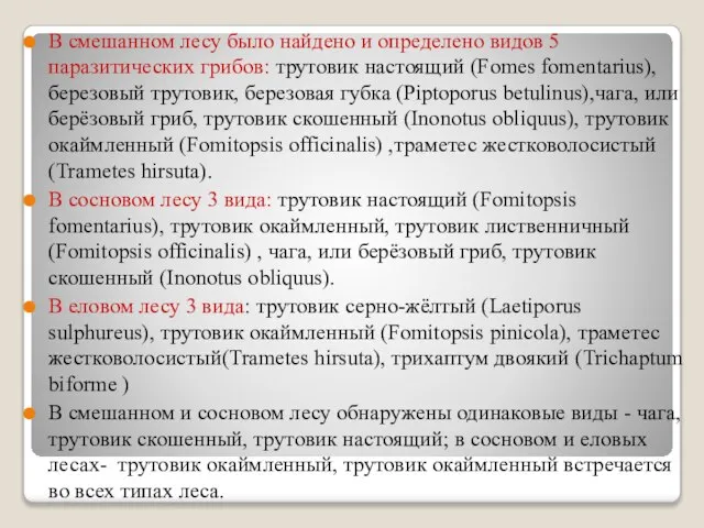 В смешанном лесу было найдено и определено видов 5 паразитических грибов: трутовик