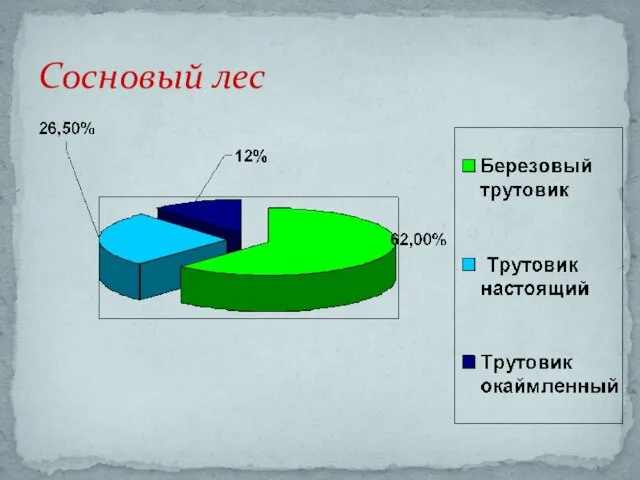 Сосновый лес