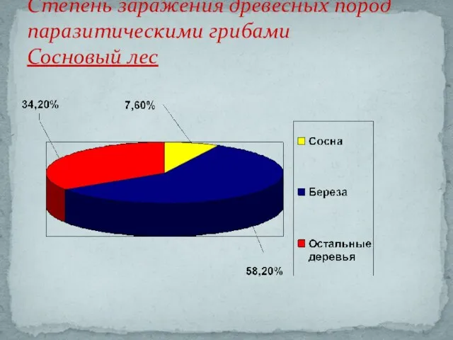 Степень заражения древесных пород паразитическими грибами Сосновый лес