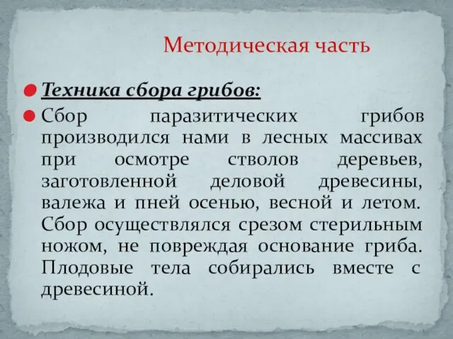 Техника сбора грибов: Сбор паразитических грибов производился нами в лесных массивах при