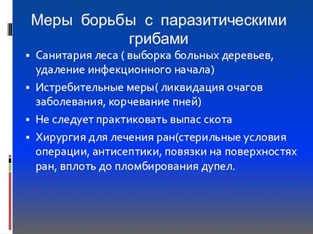 Меры борьбы с паразитическими грибами Санитария леса ( выборка больных деревьев, удаление