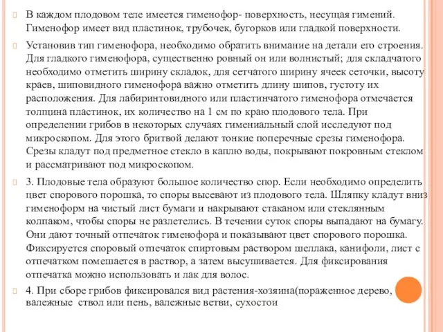 В каждом плодовом теле имеется гименофор- поверхность, несущая гимений. Гименофор имеет вид