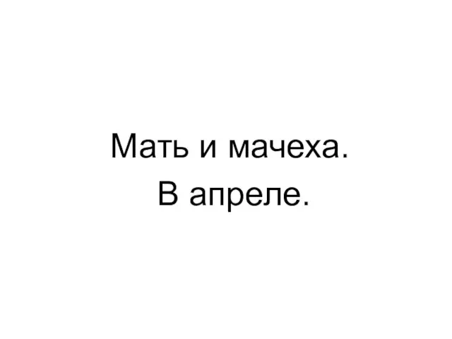 Мать и мачеха. В апреле.