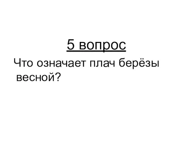 5 вопрос Что означает плач берёзы весной?