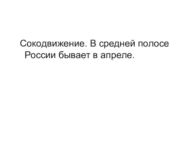 Сокодвижение. В средней полосе России бывает в апреле.