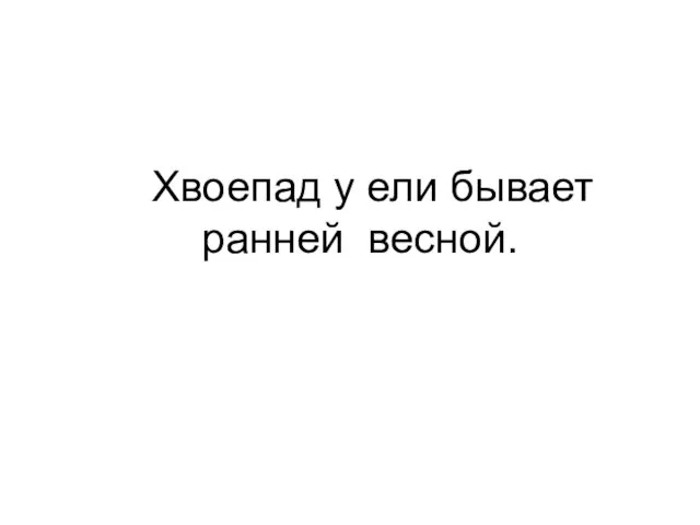 Хвоепад у ели бывает ранней весной.