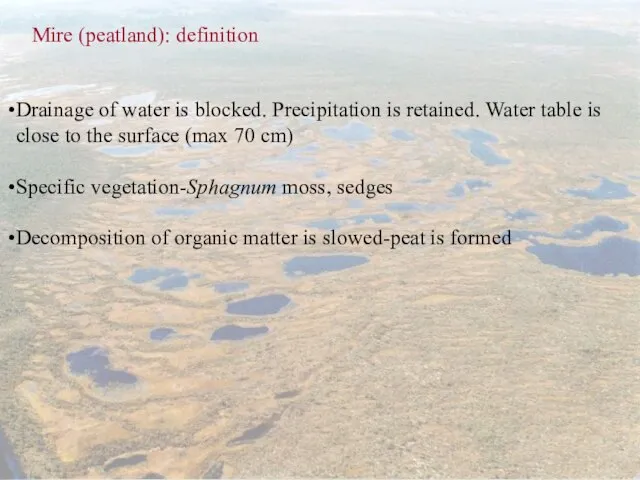 Mire (peatland): definition Drainage of water is blocked. Precipitation is retained. Water