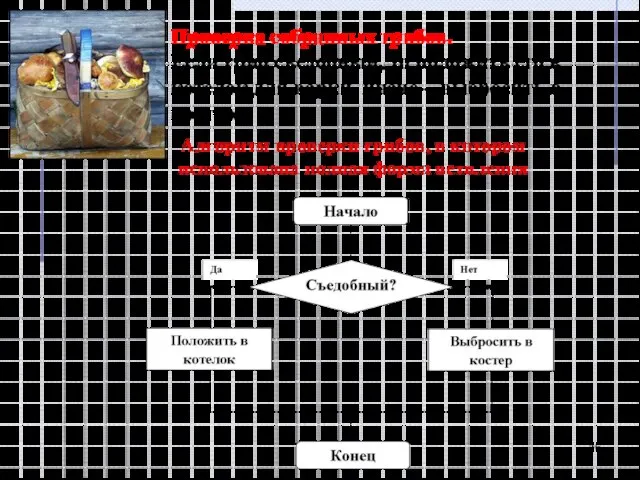 Проверка собранных грибов. Если гриб съедобный, то положить его в котелок для