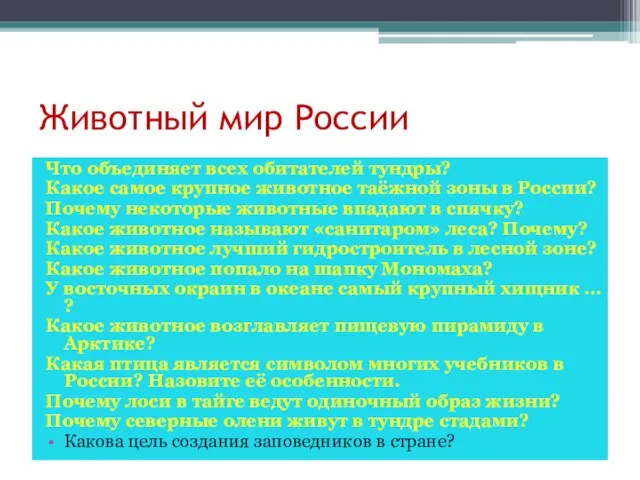 Животный мир России Что объединяет всех обитателей тундры? Какое самое крупное животное