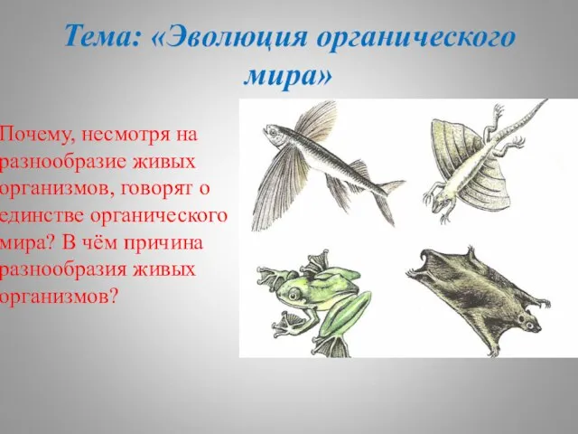 Тема: «Эволюция органического мира» Почему, несмотря на разнообразие живых организмов, говорят о