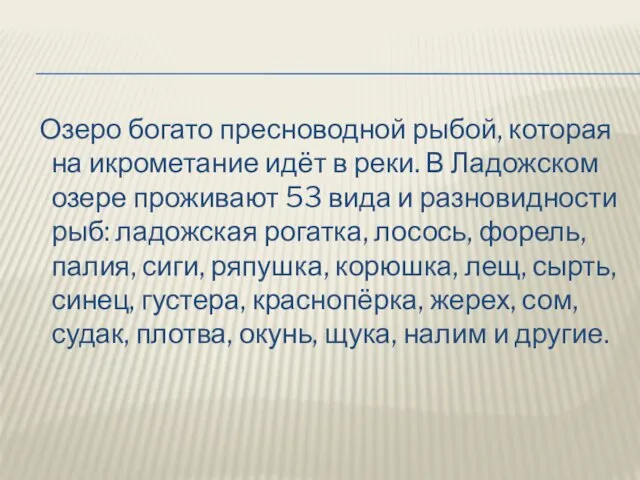 Озеро богато пресноводной рыбой, которая на икрометание идёт в реки. В Ладожском