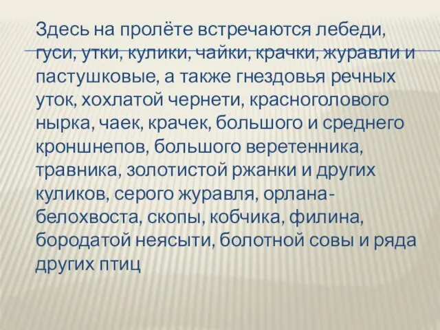 Здесь на пролёте встречаются лебеди, гуси, утки, кулики, чайки, крачки, журавли и