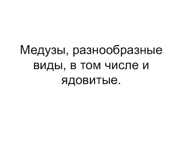 Медузы, разнообразные виды, в том числе и ядовитые.