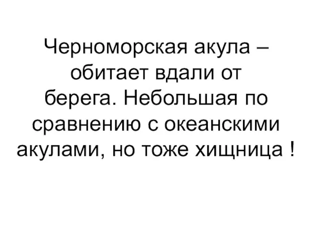 Черноморская акула –обитает вдали от берега. Небольшая по сравнению с океанскими акулами, но тоже хищница !