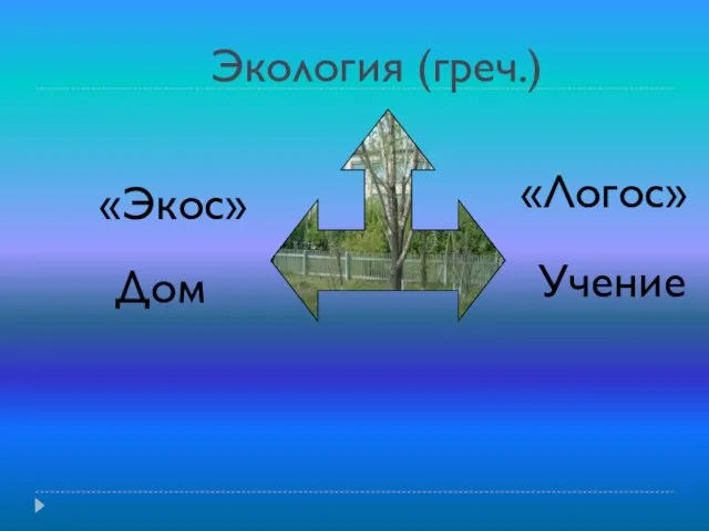 Экология (греч.) «Экос» «Логос» Дом Учение