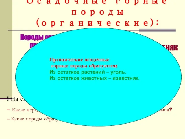 Осадочные горные породы (органические): Породы органического происхождения образуются из остатков живых организмов.