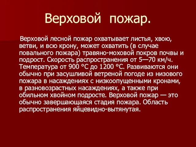 Верховой пожар. Верховой лесной пожар охватывает листья, хвою, ветви, и всю крону,