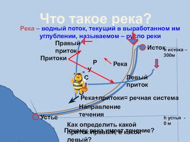 Что такое река? Река – водный поток, текущий в выработанном им углублении,