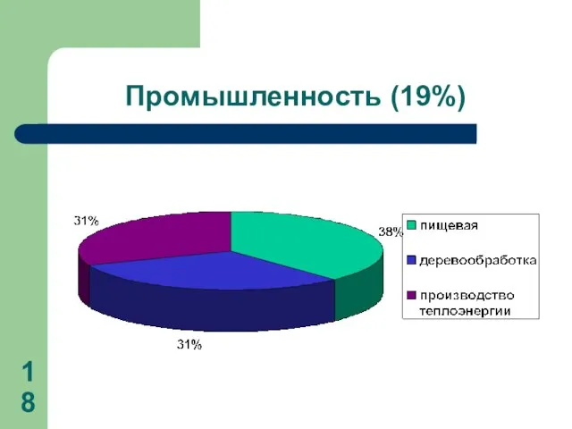 Промышленность (19%)