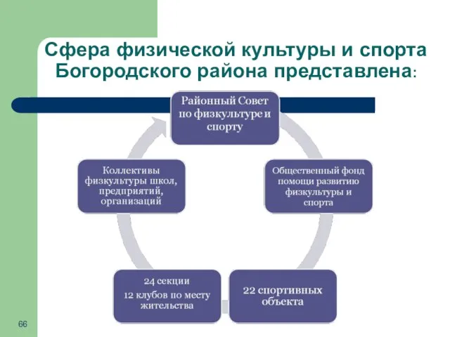 Сфера физической культуры и спорта Богородского района представлена: