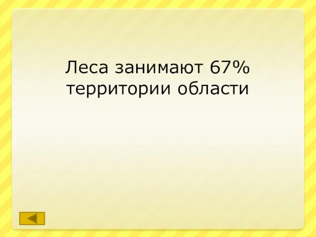 Леса занимают 67% территории области