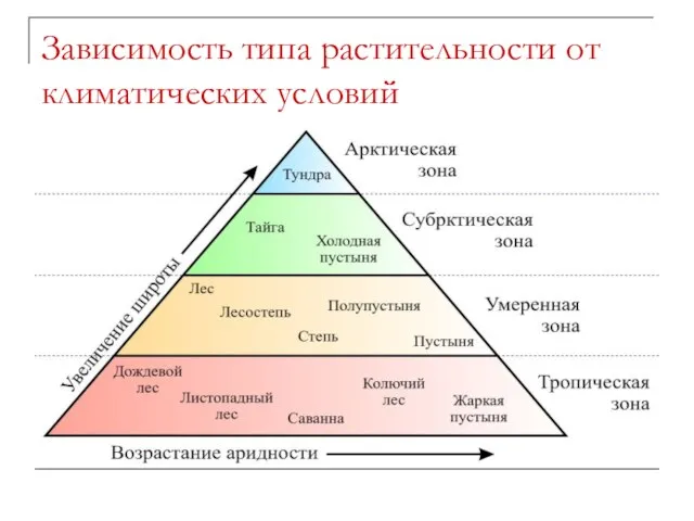 Зависимость типа растительности от климатических условий