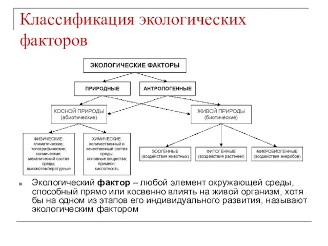 Классификация экологических факторов Экологический фактор – любой элемент окружающей среды, способный прямо