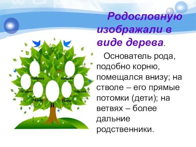 Родословную изображали в виде дерева. Основатель рода, подобно корню, помещался внизу; на