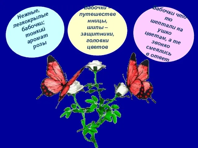 Нежные, легкокрылые бабочки; тонкий аромат розы Бабочки – путешественницы, шипы – защитники,