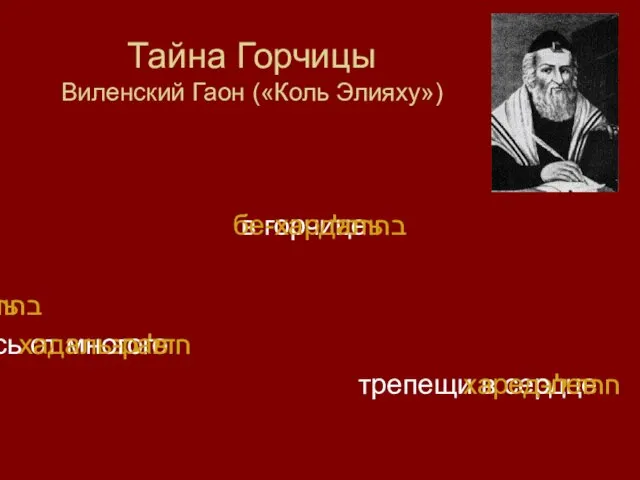 Тайна Горчицы Виленский Гаон («Коль Элияху») בחרדל в горчице бе-хардаль בחר דלизбери