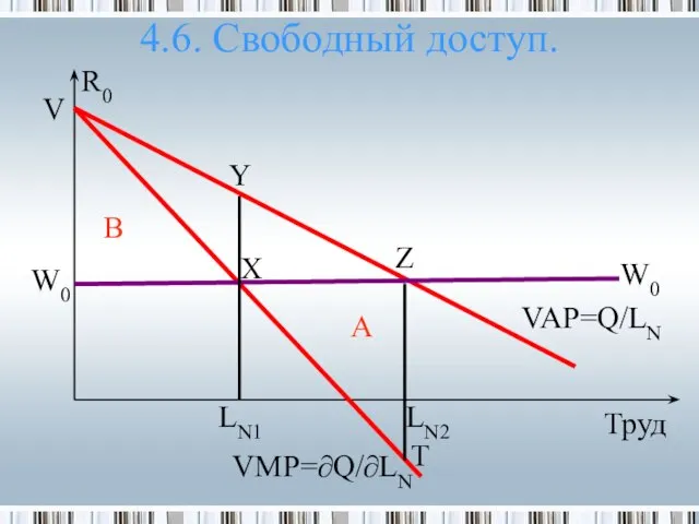 4.6. Свободный доступ. R0 A LN1 Z Труд X VAP=Q/LN W0 T