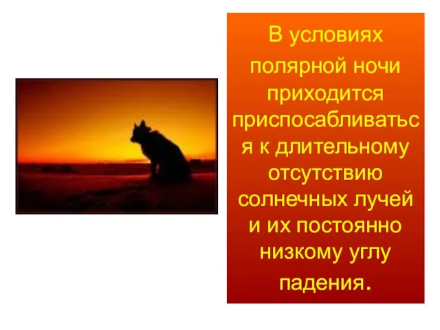 В условиях полярной ночи приходится приспосабливаться к длительному отсутствию солнечных лучей и