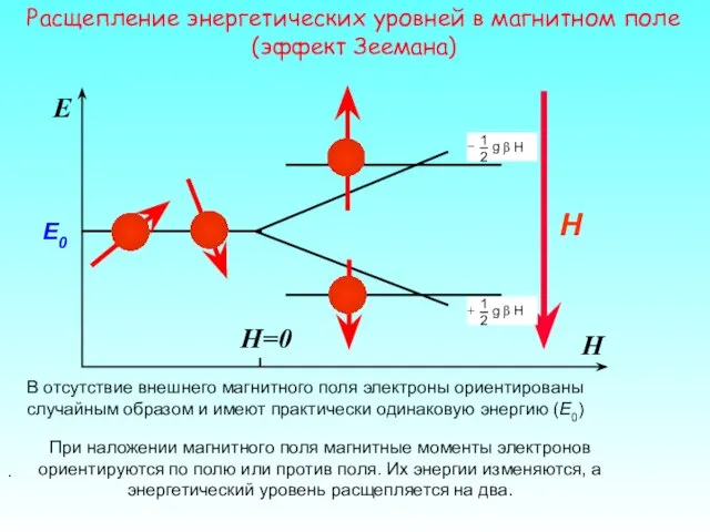 H E При наложении магнитного поля магнитные моменты электронов ориентируются по полю