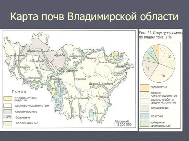 Карта почв Владимирской области
