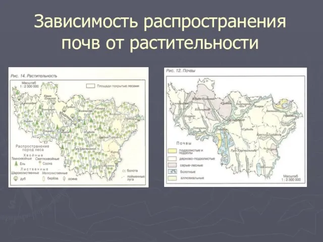 Зависимость распространения почв от растительности