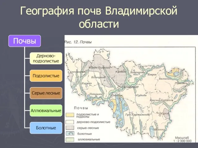 География почв Владимирской области